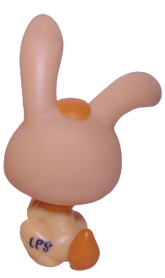 #1310 Rabbit